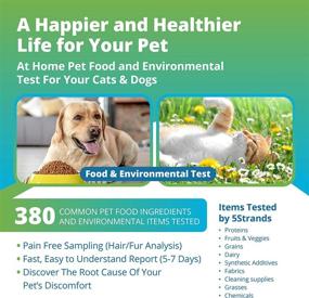 img 3 attached to 🐾 5Strands At-Home Pet Food & Environmental Intolerance Test Kit for Dogs and Cats, Comprehensive 380-Item Analysis, Quick 7-Day Results, Suitable for All Ages and Breeds
