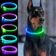 🐶 multi-color led light up dog collar - usb rechargeable - dlitk - 1 count - tpu cuttable size - glow collar for dogs - dog collar light for walking at night - for large, medium, and small dogs logo