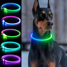 img 4 attached to 🐶 Multi-Color LED Light Up Dog Collar - USB Rechargeable - Dlitk - 1 Count - TPU Cuttable Size - Glow Collar for Dogs - Dog Collar Light for Walking at Night - for Large, Medium, and Small Dogs