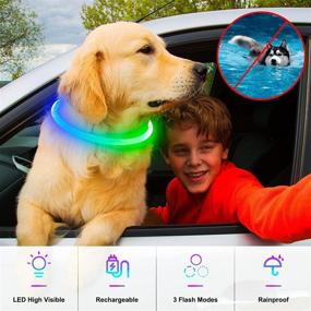 img 3 attached to 🐶 Multi-Color LED Light Up Dog Collar - USB Rechargeable - Dlitk - 1 Count - TPU Cuttable Size - Glow Collar for Dogs - Dog Collar Light for Walking at Night - for Large, Medium, and Small Dogs