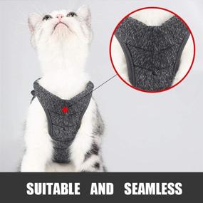 img 2 attached to 🐱 Lightweight Grey Cat Harness and Leash Set - Escape-Proof Kitten Vest Harness | Soft Fit for Cat Puppy Rabbits | Easy Control | Size L