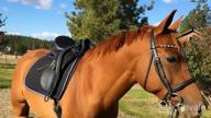 img 1 attached to Adjustable Memory Foam Correction Half Saddle Pad For Enhanced Equine Comfort By ECP review by Sam Hansen