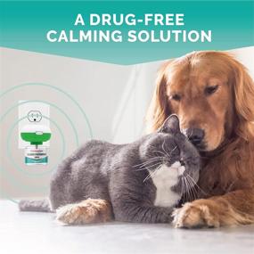 img 3 attached to 🐾 Calming Diffuser for Cats & Dogs - Premium Pheromone Plug-in Solution with Lavender Scent - Anti-Anxiety Pet Appeasing Pheromone Diffuser - 30 Day Supply