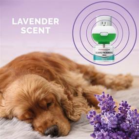 img 1 attached to 🐾 Calming Diffuser for Cats & Dogs - Premium Pheromone Plug-in Solution with Lavender Scent - Anti-Anxiety Pet Appeasing Pheromone Diffuser - 30 Day Supply