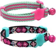 blueberry pet geometric adjustable low bright логотип