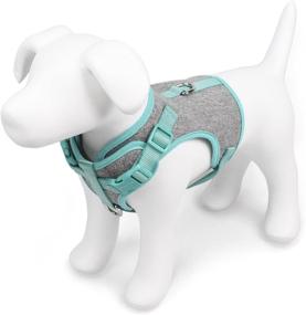 img 2 attached to Martha Stewart Adjustable Comfort Harness Cats ... Collars, Harnesses & Leashes