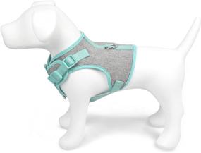 img 1 attached to Martha Stewart Adjustable Comfort Harness Cats ... Collars, Harnesses & Leashes