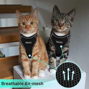 img 2 attached to 🐱 IPRAVOCI Cat Harness and Leash Set - Escape Proof Vest Harness for Cats - Reflective Adjustable Breathable Full Body Harness for Small Medium Large Cats - Ideal for Walking and Training