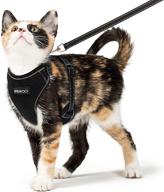 🐱 ipravoci cat harness and leash set - escape proof vest harness for cats - reflective adjustable breathable full body harness for small medium large cats - ideal for walking and training logo