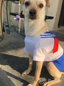 img 6 attached to XL костюм юбки для собаки для студенческого косплея - синее платье для лагеря Tangpan с бантом
