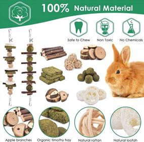 img 1 attached to Keep Your Small Rodent'S Teeth Healthy With KATUMO DIY Chew Toys