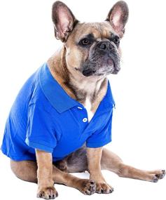 img 2 attached to Pet Clothes POLO Blue Apparel