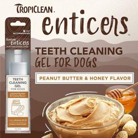img 3 attached to Гель для чистки зубов собак со вкусом арахисового масла - TropiClean Enticers, 2 унции - отличная альтернатива зубной пасте для собак