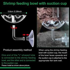 img 2 attached to 🦐 11.8 Inch Shrimp Feeding Tube Set with Shrimp Feeding Dish, Suction Cup Bowl, Cleaning Brush, Aquarium Feeder Bulb, Feeding Ring, Sucker Clamp, and Fish Net