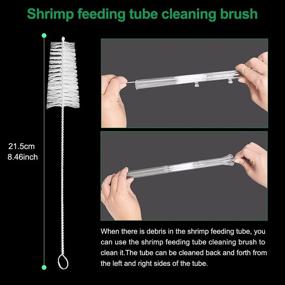 img 1 attached to 🦐 11.8 Inch Shrimp Feeding Tube Set with Shrimp Feeding Dish, Suction Cup Bowl, Cleaning Brush, Aquarium Feeder Bulb, Feeding Ring, Sucker Clamp, and Fish Net
