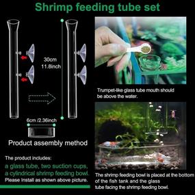 img 3 attached to 🦐 11.8 Inch Shrimp Feeding Tube Set with Shrimp Feeding Dish, Suction Cup Bowl, Cleaning Brush, Aquarium Feeder Bulb, Feeding Ring, Sucker Clamp, and Fish Net