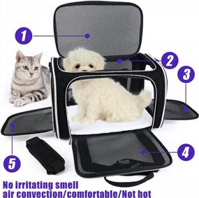 img 3 attached to Одобренная авиакомпанией переноска для домашних животных для маленьких средних кошек, собак, щенков, складная сумка для собак и кошек с мягкими стенками - черный