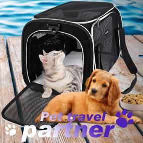 img 2 attached to Airline Approved Pet Carrier For Small Medium Cats Dogs Puppies, Soft Sided Collapsible Dog Cat Travel Baglher - Black