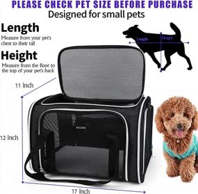 img 1 attached to Airline Approved Pet Carrier For Small Medium Cats Dogs Puppies, Soft Sided Collapsible Dog Cat Travel Baglher - Black
