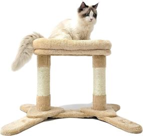 img 4 attached to HeyKitten Heavy Duty Cat Scratching Posts: Sturdy Base, Dual Sisal Poles, Cushion Perch Bed – Ideal for Indoor Cats and Kittens