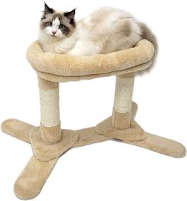 img 2 attached to HeyKitten Heavy Duty Cat Scratching Posts: Sturdy Base, Dual Sisal Poles, Cushion Perch Bed – Ideal for Indoor Cats and Kittens