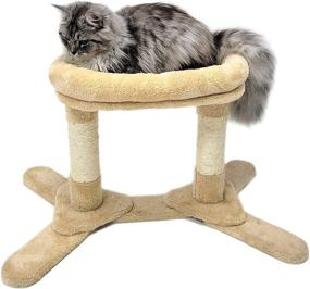 img 3 attached to HeyKitten Heavy Duty Cat Scratching Posts: Sturdy Base, Dual Sisal Poles, Cushion Perch Bed – Ideal for Indoor Cats and Kittens