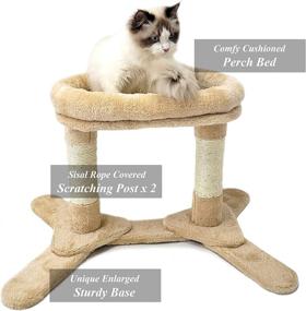 img 1 attached to HeyKitten Heavy Duty Cat Scratching Posts: Sturdy Base, Dual Sisal Poles, Cushion Perch Bed – Ideal for Indoor Cats and Kittens