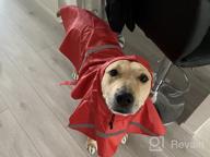 img 1 attached to 🐶 Protective Pet Gear: NINEMAX Dog Raincoat with Reflective Strip for Medium-Large Dogs review by Terrence Tucker
