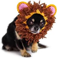 zoo snoods lion dog costume dogs logo