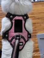 img 1 attached to WINSEE Pet Harness Collar And Leash Set, All-In-One Reflective Dog Harness No Pull With Adjustable Buckles For Puppies, Small, Medium, Large, And Extra-Large Dogs (Small, Black) review by Gaurav Ansong