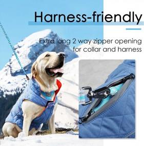 img 2 attached to Keep Your Dog Warm And Cozy This Winter With ThinkPet Waterproof Reversible Cold Weather Coats!