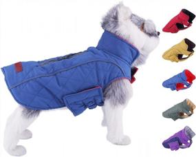 img 4 attached to Keep Your Dog Warm And Cozy This Winter With ThinkPet Waterproof Reversible Cold Weather Coats!