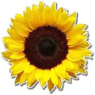 🌻 ak wall art sunflower vinyl sticker - car window bumper laptop - choose your size логотип