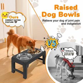 img 2 attached to Adjustable Elevated Dog Bowl Stand With Stainless Steel Bowls For Small, Medium, And Large Dogs - Non-Slip Design For Easy Feeding