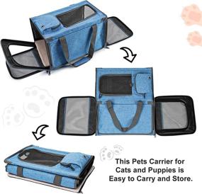 img 1 attached to 🐱 Petsoul Cat Carrier for Large and Medium Cats, Small Dogs | Pet Travel Carriers | Soft-Sided Puppy Carriers | Airline Approved