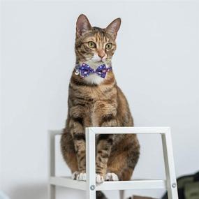 img 2 attached to 🐾 EXPAWLORER Cat Bow Tie Collar with Bell - 2 Pack Planet Design Breakaway Safe Buckle Kitty Collars: Adorable and Adjustable Accessories for Your Kitty Puppy Boy or Girl