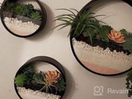 img 1 attached to Ecosides Round Indoor Wall Succulent Hanging Planter, Metal Decorative Freestanding Mount Holder With Glass For Air Plants, Faux Flower,Set Of 3 (Black) review by Jemar Lorenzo