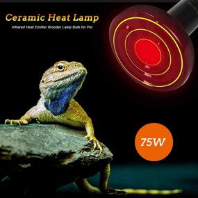 img 1 attached to 🐢 2-Pack 75W Ceramic Infrared Reptile Heat Emitter Lamp Bulb - Ideal for Pet Brooder Coop, Chicken, Lizard, Turtle, Snake, and Aquarium - No Light Emission, No Harm
