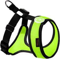 🐾 gooby freedom harness ii: choke free mesh harness for small dogs with microsuede straps - lime, x-large logo