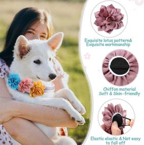 img 2 attached to 🌸 Vibrant 20-Piece Dog Collar Flower Set: Multi-Color Pet Bow Ties & Collars for Dogs; Perfect for Grooming, Cats and Puppies; Floral Collar Accessories and Charms