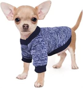 img 2 attached to 🐶 2-Pack Chihuahua Dog Sweaters for Small Dogs Girls Boys XXS~S - Winter Fleece Warm Puppy Sweater Yorkie Teacup Extra Small Dog Outfit - Doggie Cat Clothing (XX-Small)