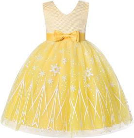 img 4 attached to 👸 Viriber Costumes Birthday Princess Holiday Dresses for Girls' Clothing