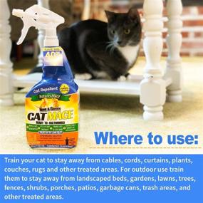 img 1 attached to 🐱 Nature's MACE Cat Repellent: Keep Cats Out of Your Lawn & Garden | 40oz Spray for 1,000 Sq. Ft. | Train Cats to Stay Away from Bushes | Safe Near Children & Plants