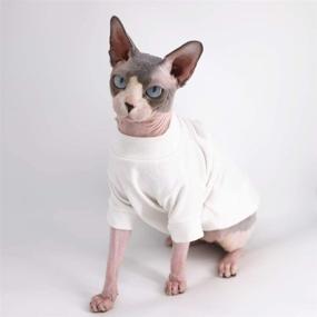 img 3 attached to Hairless Tshirts Clothes Pullover T Shirts Dogs ~ Apparel & Accessories