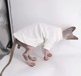 img 1 attached to Hairless Tshirts Clothes Pullover T Shirts Dogs ~ Apparel & Accessories