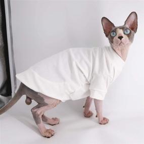 img 2 attached to Hairless Tshirts Clothes Pullover T Shirts Dogs ~ Apparel & Accessories