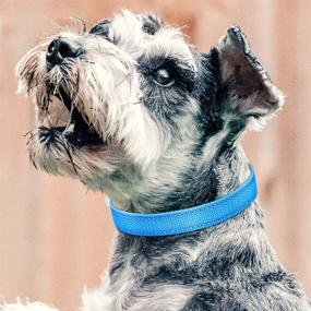 img 3 attached to 🐶 PetJoy Adjustable Classic Dog Collar Strap for Shock Reflective Collar - Replacement Strap for Small, Medium, and Large Dogs