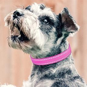 img 2 attached to 🐶 PetJoy Adjustable Classic Dog Collar Strap for Shock Reflective Collar - Replacement Strap for Small, Medium, and Large Dogs