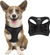 harness adjustable breathable reflective suitable logo