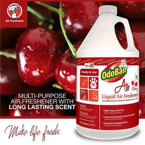 img 3 attached to 🍒 OdoBan Professional Series Cherry Liquid Air Freshener - Ready-to-Use, 2-Pack, 1 Gallon Each - Long-lasting Cherry Scent